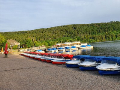 Holiday apartment Danielenhof1701, Bruckbach apartment - Environment photo 20