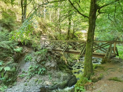 Holiday apartment Danielenhof1701, Bruckbach apartment - Environment photo 27