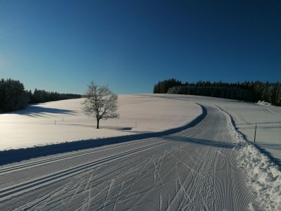 Holiday apartment Danielenhof1701, Bruckbach apartment - Environment photo 28