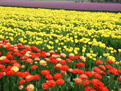 Holiday apartment Pracht - Environment photo 19