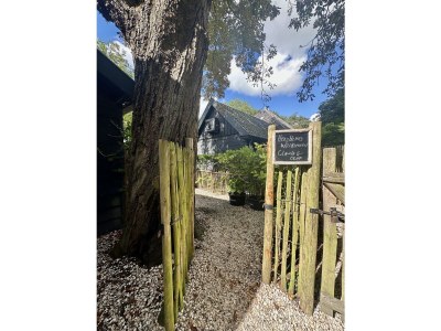 Holiday house Chestnut - Features photo 21