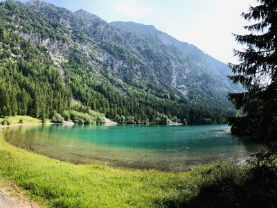 Apartment Sonn-Alm 75mÂ² with private garden - Environment photo 31