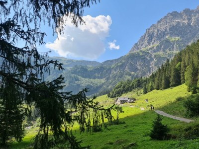 Apartment Walmendingerhorn Nr. 1 - 2 Schlafräume - Outdoor photo 8