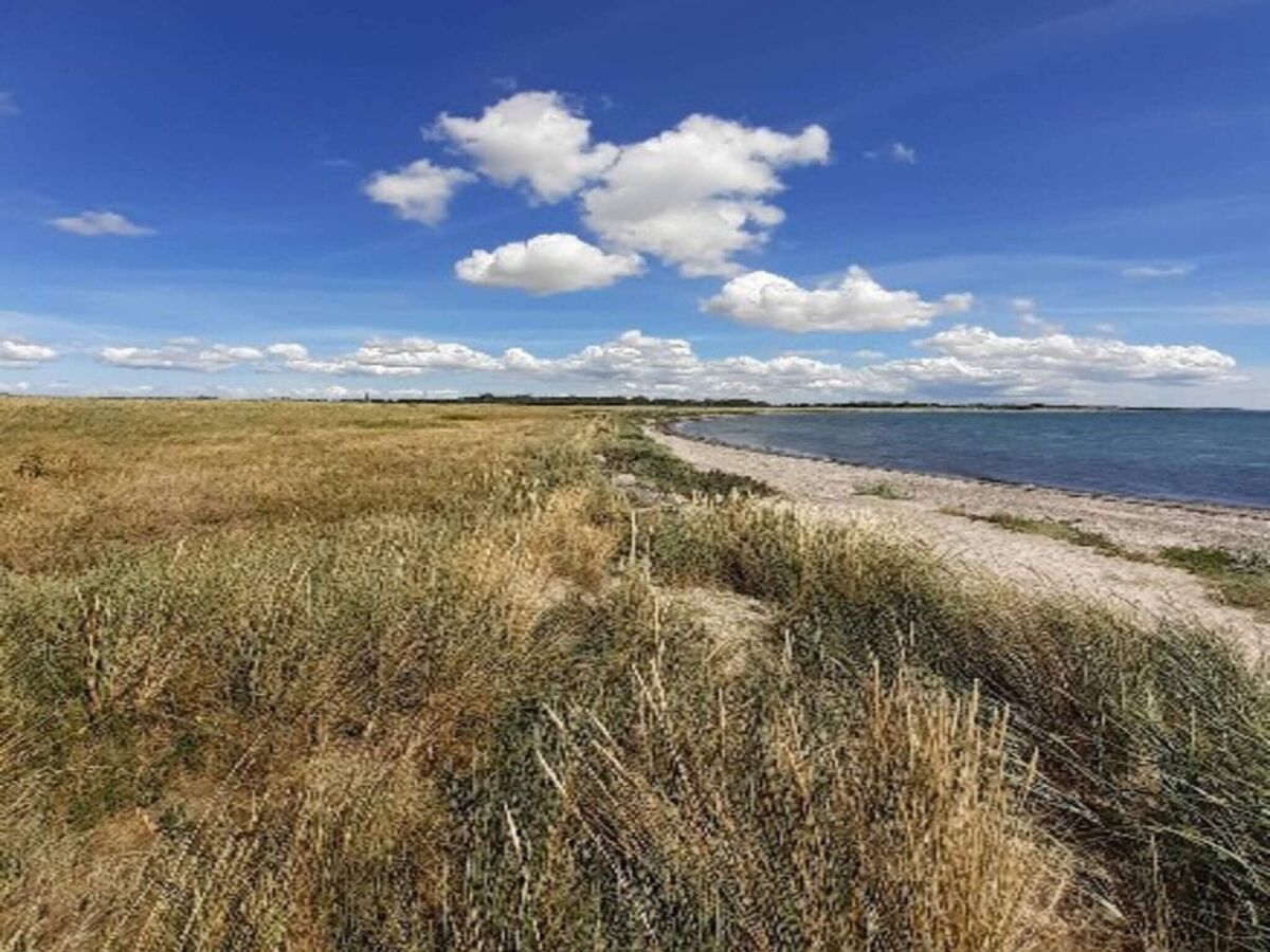 Holiday house 8 person holiday home in Dannemare-By Traum - Outdoor photo 2