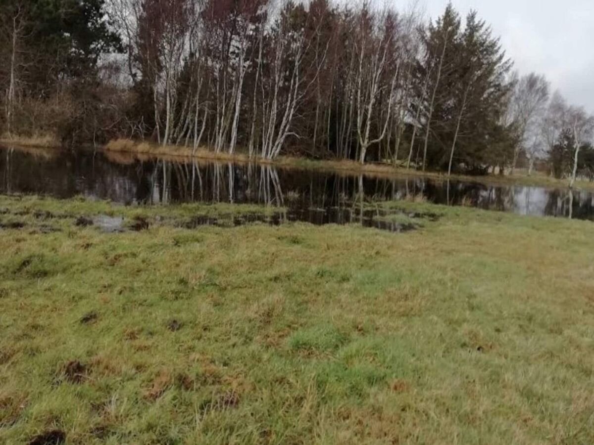 Holiday house 8 person holiday home in Dannemare-By Traum - Outdoor photo 4