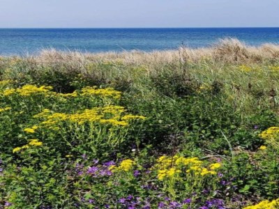 Holiday house 8 person holiday home in Dannemare-By Traum - Outdoor photo 8