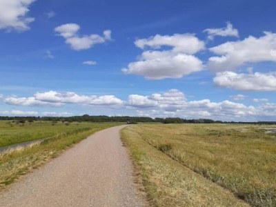 Holiday house 8 person holiday home in Dannemare-By Traum - Outdoor photo 12