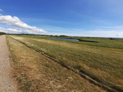 Holiday house 8 person holiday home in Dannemare-By Traum - Outdoor photo 17