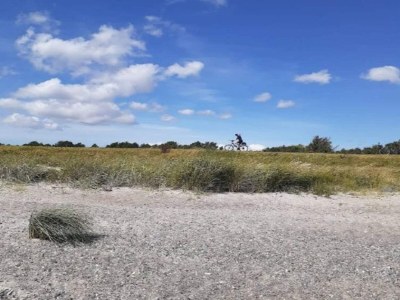 Holiday house 8 person holiday home in Dannemare-By Traum - Outdoor photo 18