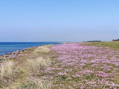 Holiday house 8 person holiday home in Dannemare-By Traum - Outdoor photo 20