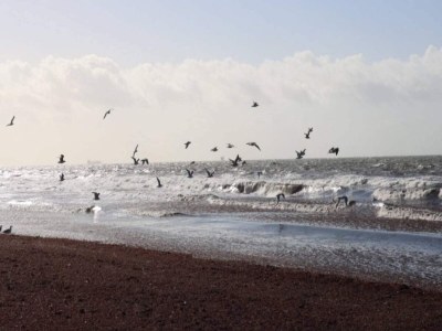 Holiday house 8 person holiday home in Dannemare-By Traum - Outdoor photo 21