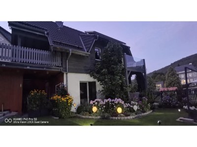 Apartment Ferienhaus in Möhrenbach über 2 Etagen - Outdoor photo 10