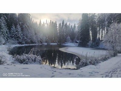 Apartment Ferienhaus in Möhrenbach über 2 Etagen - Environment photo 35