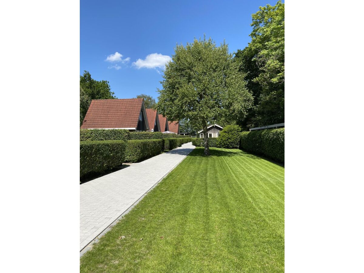 Holiday house Duinvoet - Outdoor photo 2