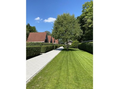 Holiday house Duinvoet - Outdoor photo 2