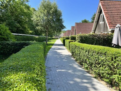 Holiday house Duinvoet - Outdoor photo 3