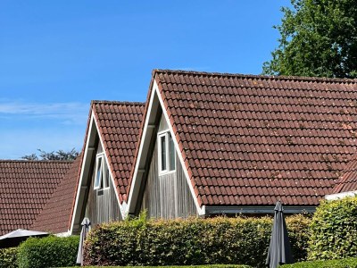 Holiday house Duinvoet - Outdoor photo 6