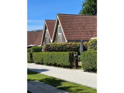 Holiday house Duinvoet - Outdoor photo 7