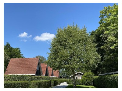 Holiday house Duinvoet - Outdoor photo 9