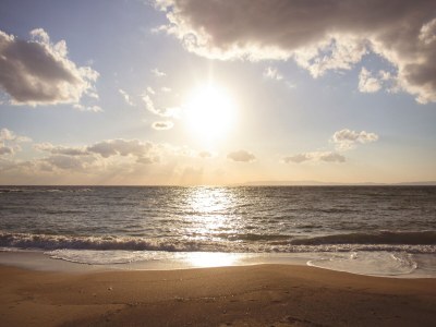 Holiday house Duinvoet - Environment photo 22