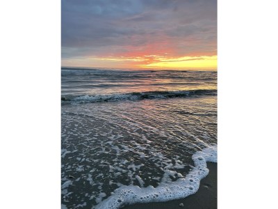 Holiday house Duinvoet - Environment photo 24