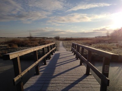 Holiday house Duinvoet - Environment photo 25