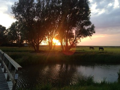 Holiday house Duinvoet - Environment photo 26