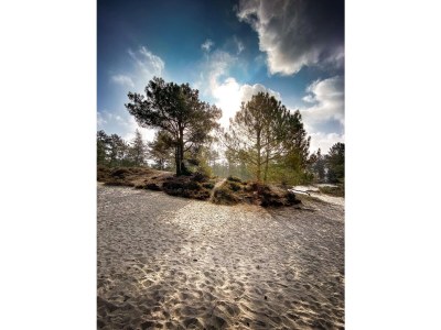 Holiday house Duinvoet - Environment photo 27