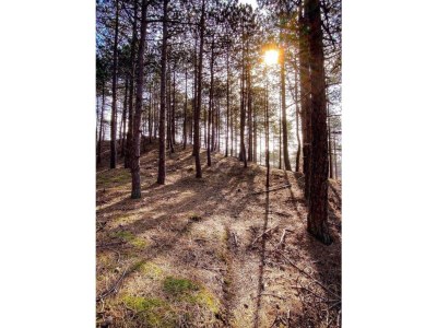 Holiday house Duinvoet - Environment photo 29