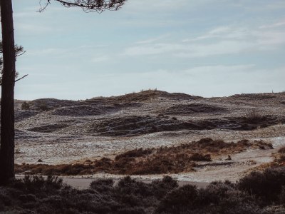 Holiday house Duinvoet - Environment photo 30