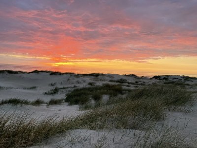 Holiday house Duinvoet - Environment photo 33