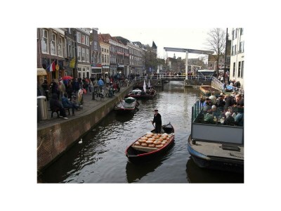 Holiday house Duinvoet - Environment photo 34