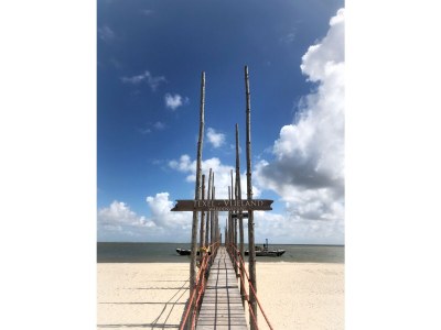 Bungalow Bungalows Hoogelandt - Environment photo 28