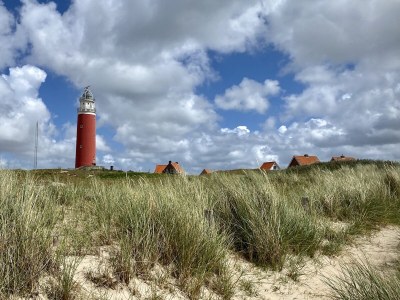 Bungalow Bungalows Hoogelandt - Environment photo 31