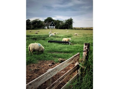 Bungalow Bungalows Hoogelandt - Environment photo 32