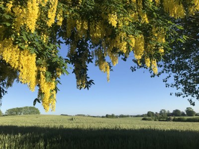 Holiday apartment No title - Outdoor photo 8