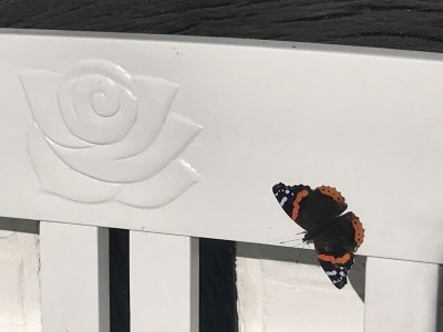 Holiday apartment No title - Outdoor photo 10