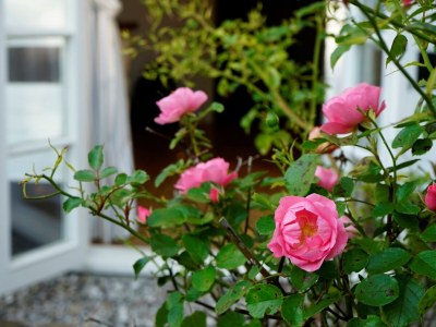 Holiday apartment No title - Outdoor photo 12