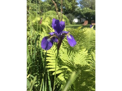 Holiday apartment No title - Outdoor photo 13