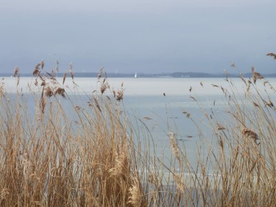 Holiday apartment No title - Environment photo 26