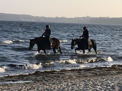 Holiday apartment No title - Environment photo 29