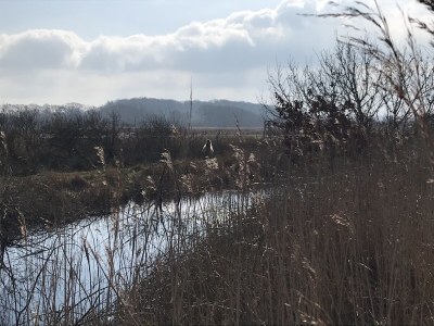 Holiday apartment No title - Environment photo 30