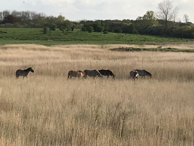 Holiday apartment No title - Environment photo 32