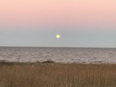 Holiday apartment No title - Environment photo 37