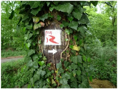 Holiday house "Schmiedegässchen" - Environment photo 20