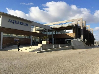 House boat Attractive yacht with roof terrace - Environment photo 27