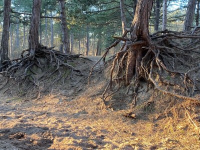 Holiday apartment BeLOFTe - Environment photo 17