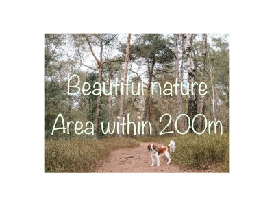 Holiday apartment BeLOFTe - Environment photo 20