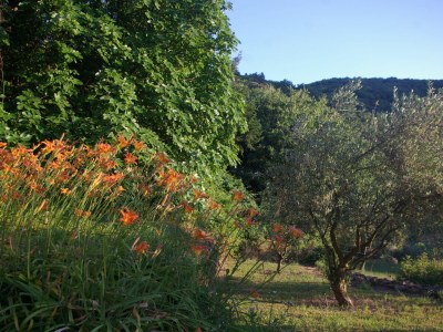 Holiday apartment Welcome to the countryside retreat Chatibot. - Outdoor photo 13