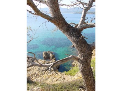 Holiday house Le Petit Paradis - Environment photo 22